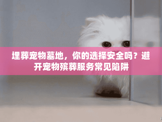 埋葬宠物墓地，你的选择安全吗？避开宠物殡葬服务常见陷阱