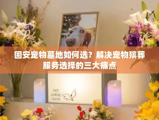 固安宠物墓地如何选？解决宠物殡葬服务选择的三大痛点