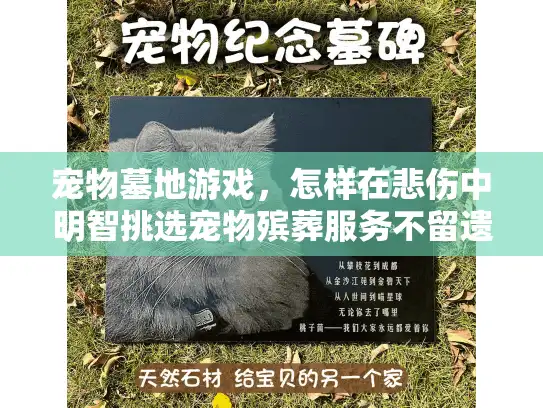 宠物墓地游戏，怎样在悲伤中明智挑选宠物殡葬服务不留遗憾？