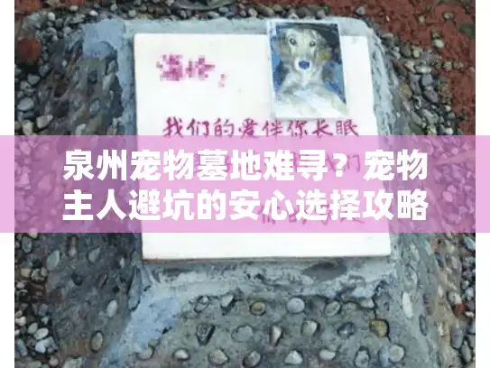 泉州宠物墓地难寻?宠物主人避坑的安心选择攻略 泉州宠物墓地难寻?宠物主人避坑的安心选择攻略
