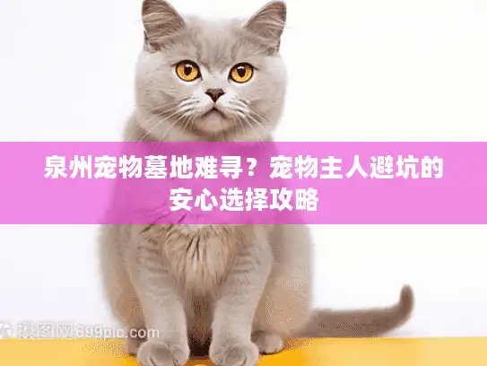 泉州宠物墓地难寻?宠物主人避坑的安心选择攻略 泉州宠物墓地难寻?宠物主人避坑的安心选择攻略