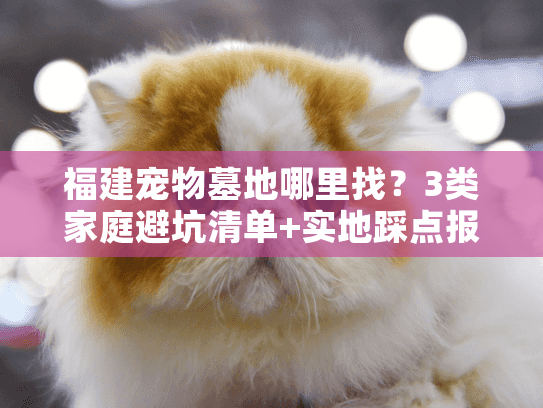 福建宠物墓地哪里找？3类家庭避坑清单+实地踩点报告