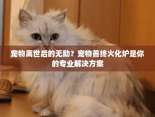 宠物离世后的无助？宠物善终火化炉是你的专业解决方案