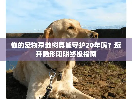 你的宠物墓地树真能守护20年吗?避开隐形陷阱终极指南 你的宠物墓地树真能守护20年吗?避开隐形陷阱终极指南