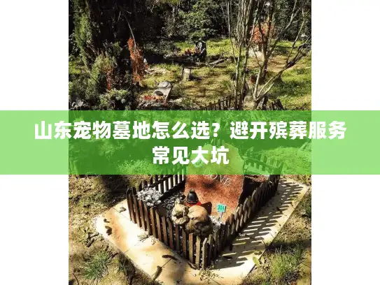 山东宠物墓地怎么选？避开殡葬服务常见大坑