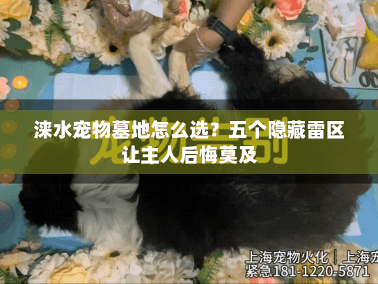 涞水宠物墓地怎么选?五个隐藏雷区让主人后悔莫及 涞水宠物墓地怎么选?五个隐藏雷区让主人后悔莫及