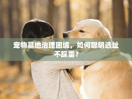 宠物墓地治理困境,如何聪明选址不踩雷? 宠物墓地治理困境,如何聪明选址不踩雷?