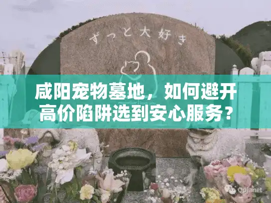 咸阳宠物墓地，如何避开高价陷阱选到安心服务？