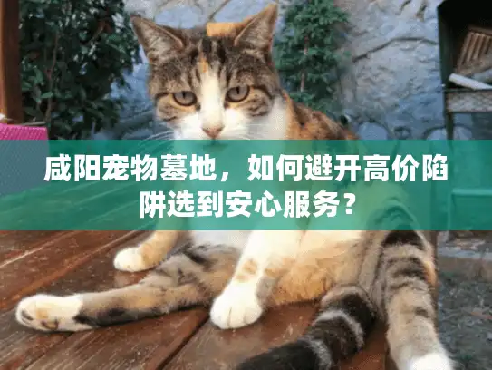 咸阳宠物墓地，如何避开高价陷阱选到安心服务？