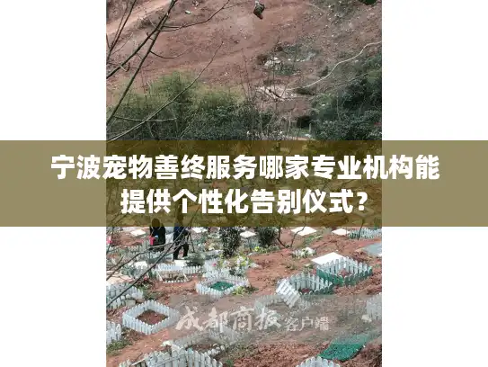 宁波宠物善终服务哪家专业机构能提供个性化告别仪式？