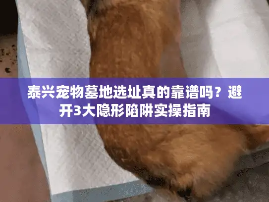 泰兴宠物墓地选址真的靠谱吗？避开3大隐形陷阱实操指南