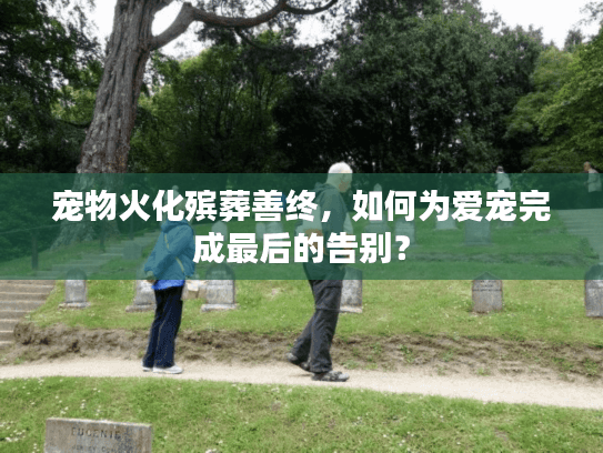 宠物火化殡葬善终，如何为爱宠完成最后的告别？