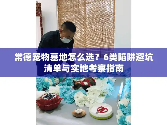 常德宠物墓地怎么选？6类陷阱避坑清单与实地考察指南