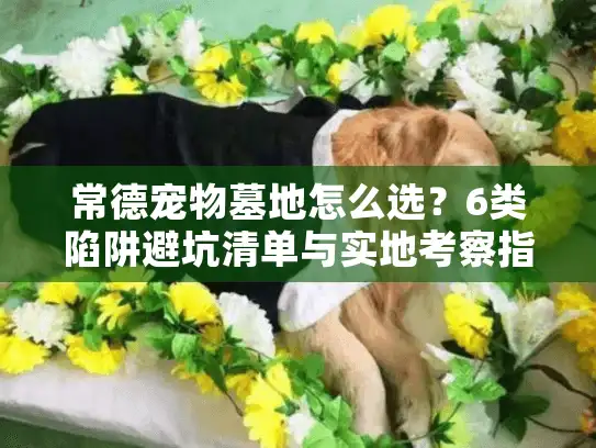 常德宠物墓地怎么选？6类陷阱避坑清单与实地考察指南