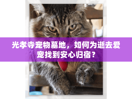 光孝寺宠物墓地，如何为逝去爱宠找到安心归宿？