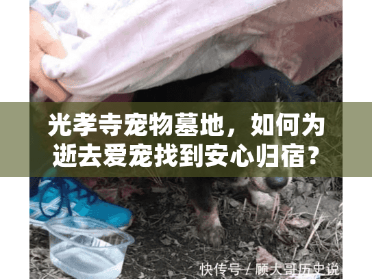 光孝寺宠物墓地，如何为逝去爱宠找到安心归宿？