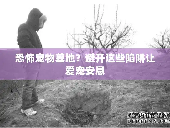 恐怖宠物墓地？避开这些陷阱让爱宠安息