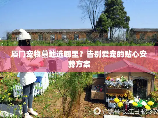 厦门宠物墓地选哪里？告别爱宠的贴心安葬方案