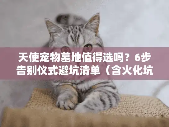 天使宠物墓地值得选吗？6步告别仪式避坑清单（含火化坑位实拍）