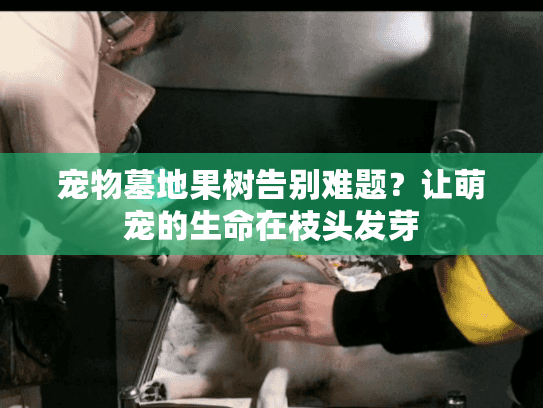 宠物墓地果树告别难题?让萌宠的生命在枝头发芽 宠物墓地果树告别难题?让萌宠的生命在枝头发芽