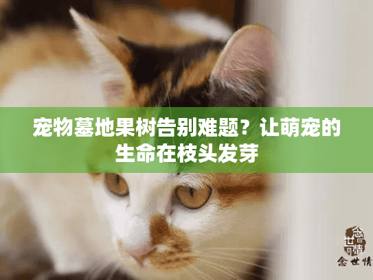 宠物墓地果树告别难题?让萌宠的生命在枝头发芽 宠物墓地果树告别难题?让萌宠的生命在枝头发芽