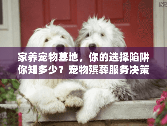 家养宠物墓地，你的选择陷阱你知多少？宠物殡葬服务决策避坑）