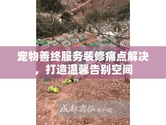 宠物善终服务装修痛点解决，打造温馨告别空间