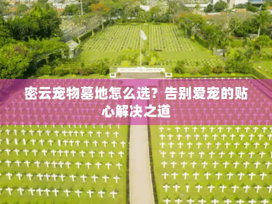 密云宠物墓地怎么选？告别爱宠的贴心解决之道