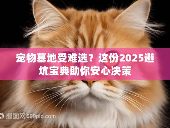 宠物墓地受难选?这份2025避坑宝典助你安心决策 宠物墓地受难选?这份2025避坑宝典助你安心决策