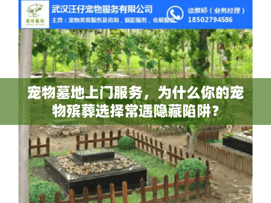 宠物墓地上门服务，为什么你的宠物殡葬选择常遇隐藏陷阱？