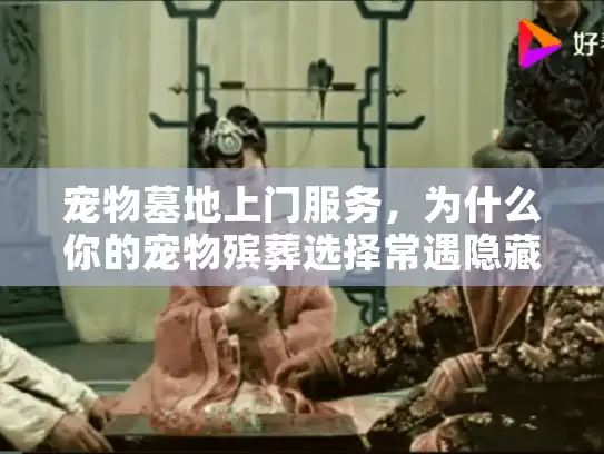 宠物墓地上门服务，为什么你的宠物殡葬选择常遇隐藏陷阱？