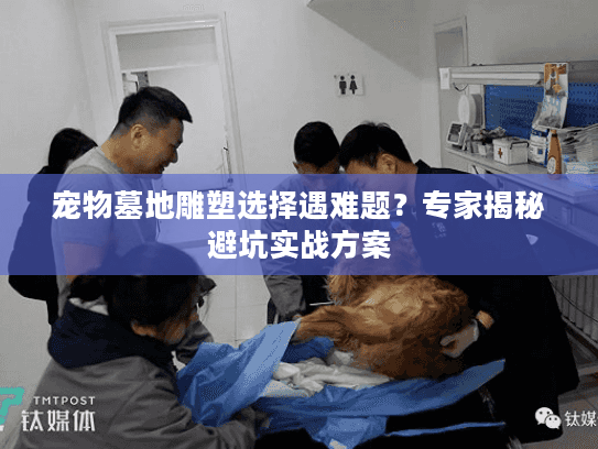 宠物墓地雕塑选择遇难题？专家揭秘避坑实战方案