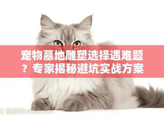 宠物墓地雕塑选择遇难题？专家揭秘避坑实战方案