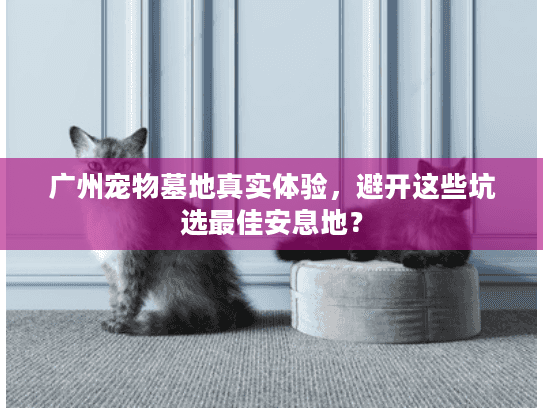 广州宠物墓地真实体验,避开这些坑选最佳安息地? 广州宠物墓地真实体验,避开这些坑选最佳安息地?