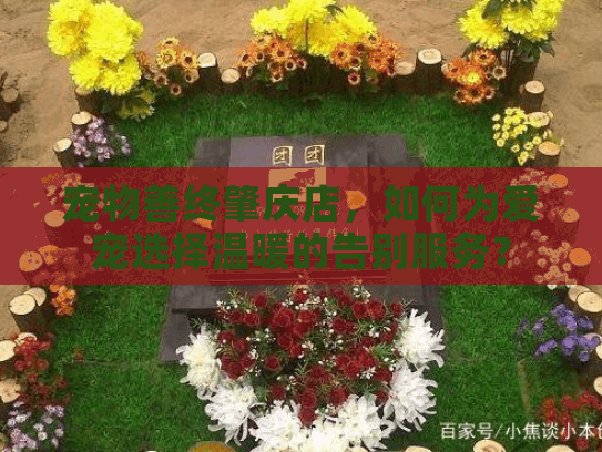 宠物善终肇庆店,如何为爱宠选择温暖的告别服务? 宠物善终肇庆店,如何为爱宠选择温暖的告别服务?