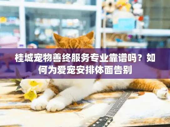 桂城宠物善终服务专业靠谱吗？如何为爱宠安排体面告别