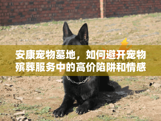 安康宠物墓地，如何避开宠物殡葬服务中的高价陷阱和情感遗憾？