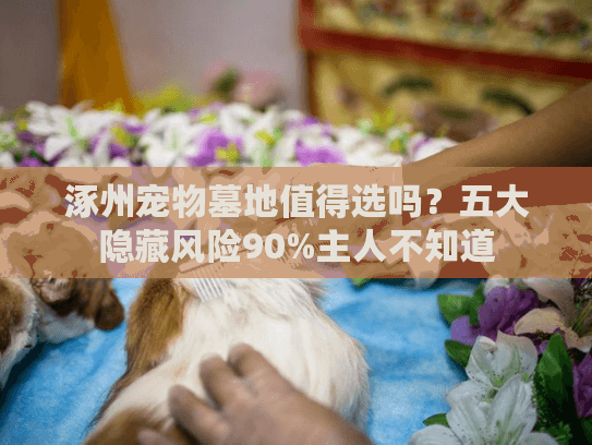 涿州宠物墓地值得选吗?五大隐藏风险90%主人不知道 涿州宠物墓地值得选吗?五大隐藏风险90%主人不知道