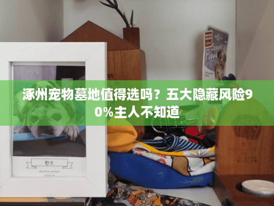 涿州宠物墓地值得选吗?五大隐藏风险90%主人不知道 涿州宠物墓地值得选吗?五大隐藏风险90%主人不知道
