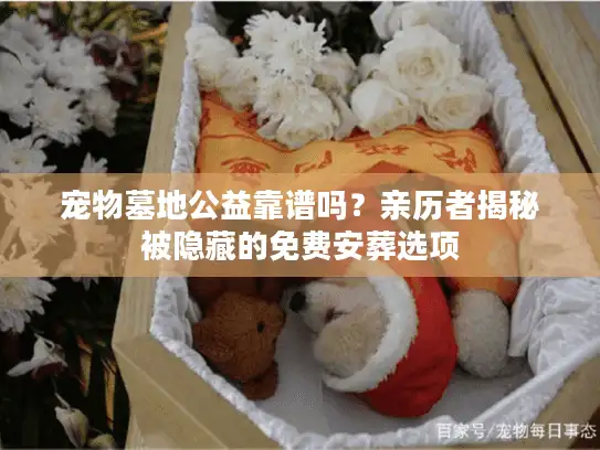 宠物墓地公益靠谱吗？亲历者揭秘被隐藏的免费安葬选项
