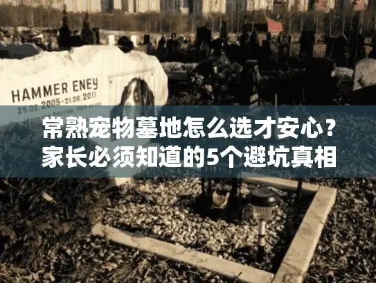 常熟宠物墓地怎么选才安心？家长必须知道的5个避坑真相