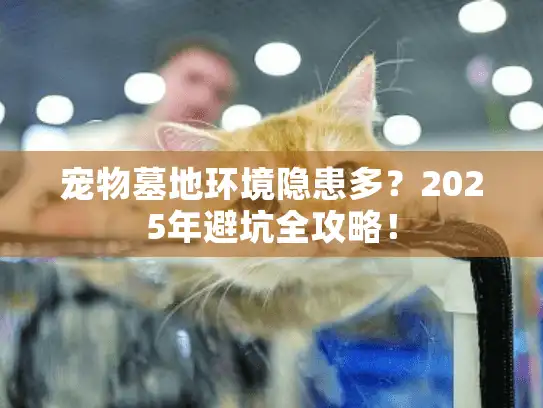 宠物墓地环境隐患多?2025年避坑全攻略! 宠物墓地环境隐患多?2025年避坑全攻略!