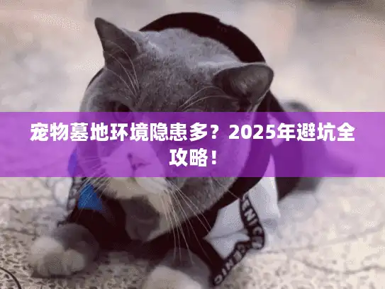 宠物墓地环境隐患多?2025年避坑全攻略! 宠物墓地环境隐患多?2025年避坑全攻略!