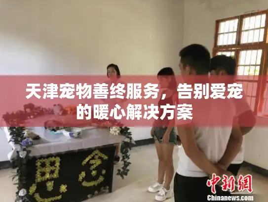 天津宠物善终服务，告别爱宠的暖心解决方案