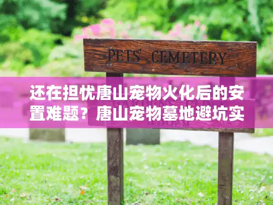 还在担忧唐山宠物火化后的安置难题？唐山宠物墓地避坑实操手册