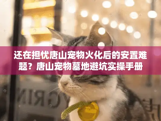 还在担忧唐山宠物火化后的安置难题？唐山宠物墓地避坑实操手册