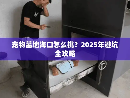宠物墓地海口怎么挑？2025年避坑全攻略