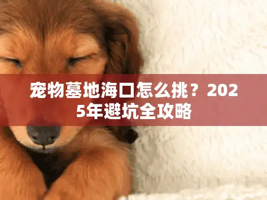 宠物墓地海口怎么挑？2025年避坑全攻略