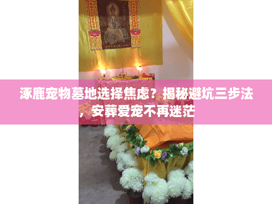 涿鹿宠物墓地选择焦虑？揭秘避坑三步法，安葬爱宠不再迷茫