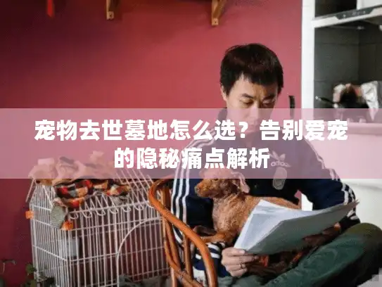 宠物去世墓地怎么选？告别爱宠的隐秘痛点解析